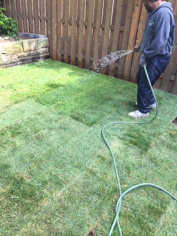 Lawn Care